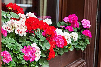 P社多人游戏《Stellaris Nexus》12月5日EA发售 不支持中文